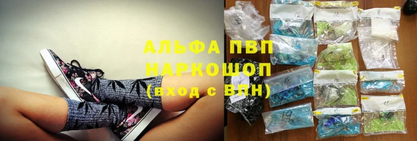 стафф Армянск