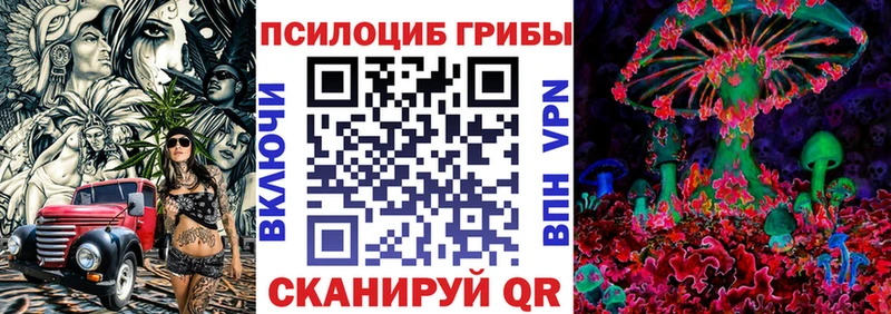 hydra ONION  Чехов  Галлюциногенные грибы Psilocybe 